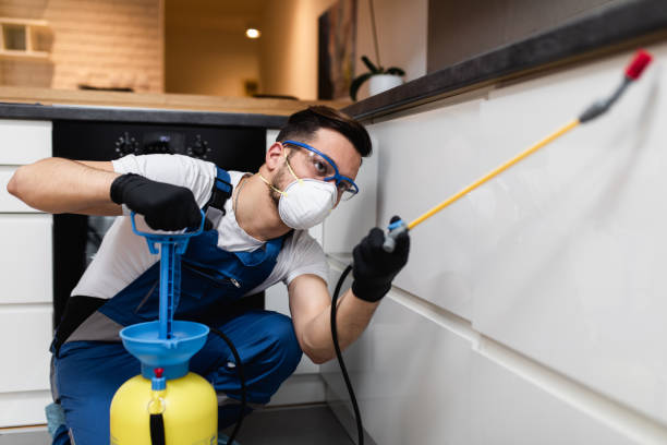 Best Wildlife Control Services  in Brush, CO