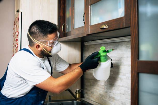 Best Cockroach Control Services  in Brush, CO