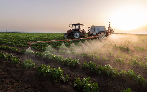 Best Pest Removal Services  in Brush, CO